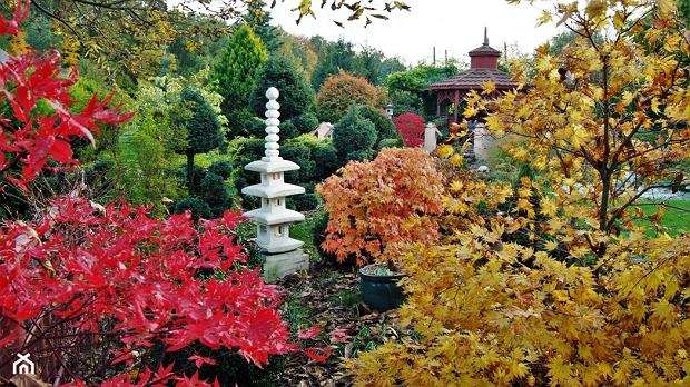 Jesień w ogrodzie. puzzle online
