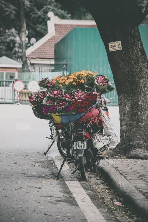 Kwiaty na motorze puzzle online