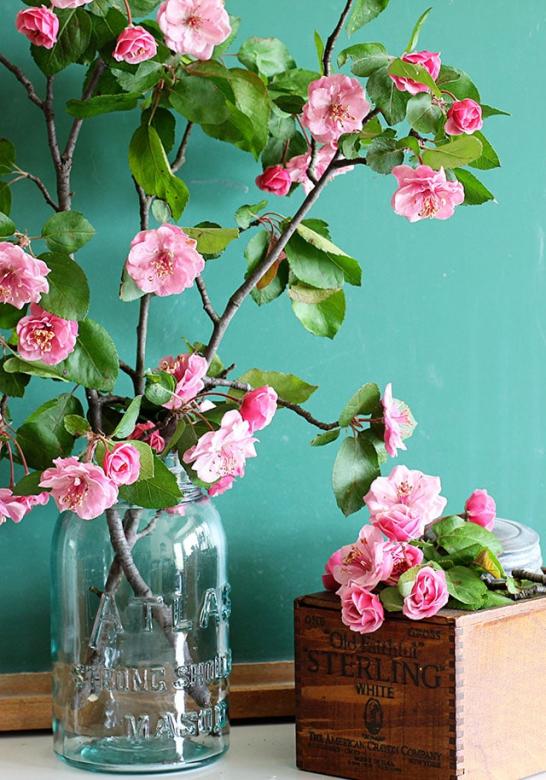 Piękne różowe kwiatki puzzle online