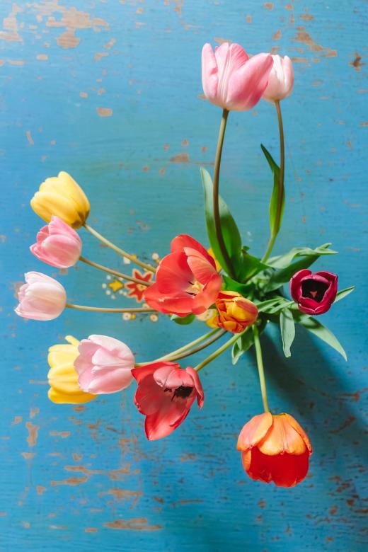 Kolorowe tulipany na stole puzzle online