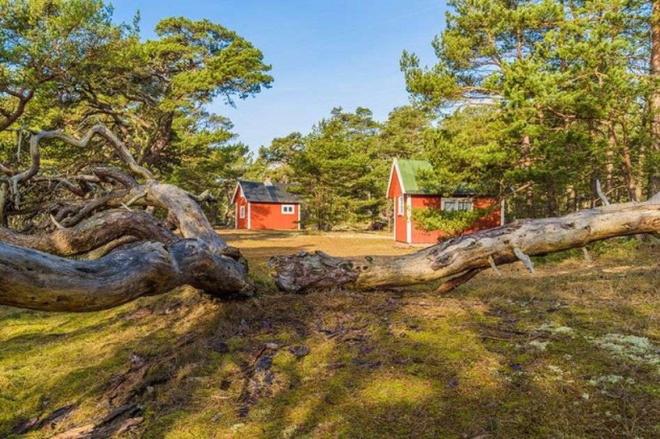norweski widok letni puzzle online