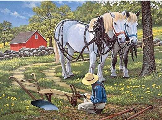 Horses in agriculture. puzzle