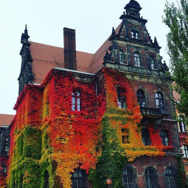 Budynek we Wrocławiu pięknie się prezentuje puzzle online