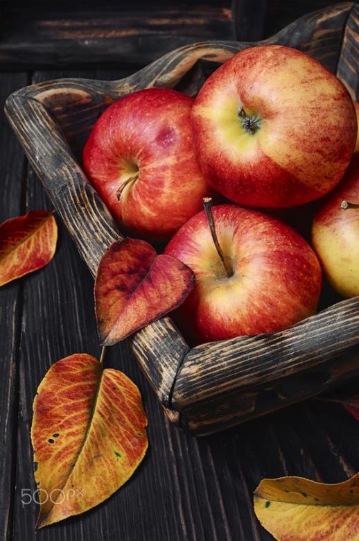 autumn apples puzzle online
