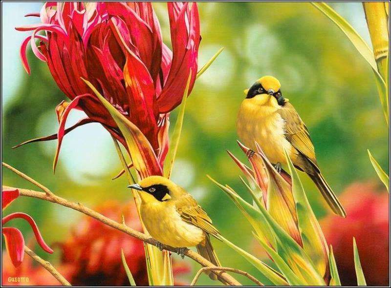 ptaki w otoczeniu kwiatów puzzle online