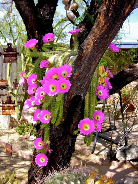 piękne kwiaty wśród drzew puzzle online