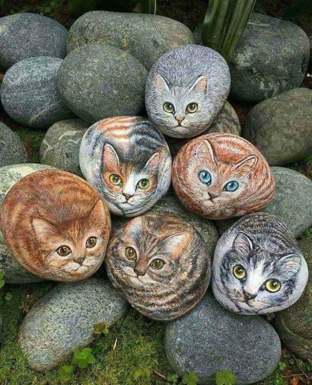 koty na kamienia puzzle online