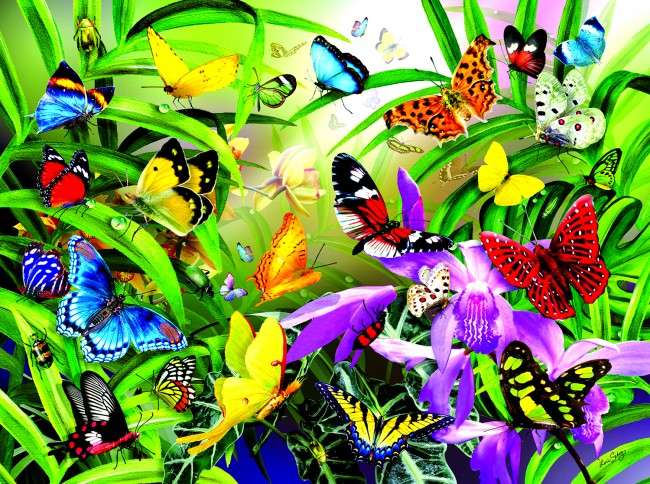 Tropikalne motyle. puzzle online