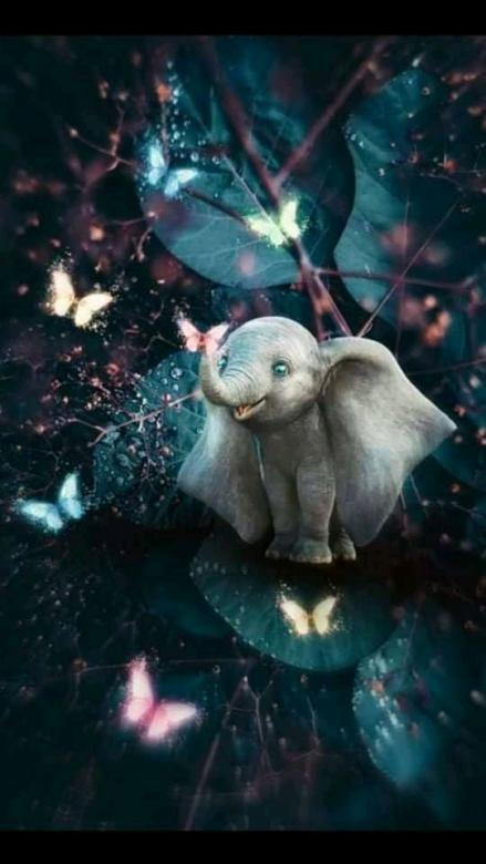 Farfalla magica elefante puzzle
