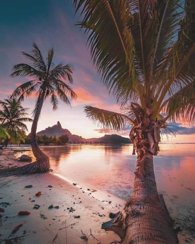 Bora Bora, Polinezja Francuska puzzle online
