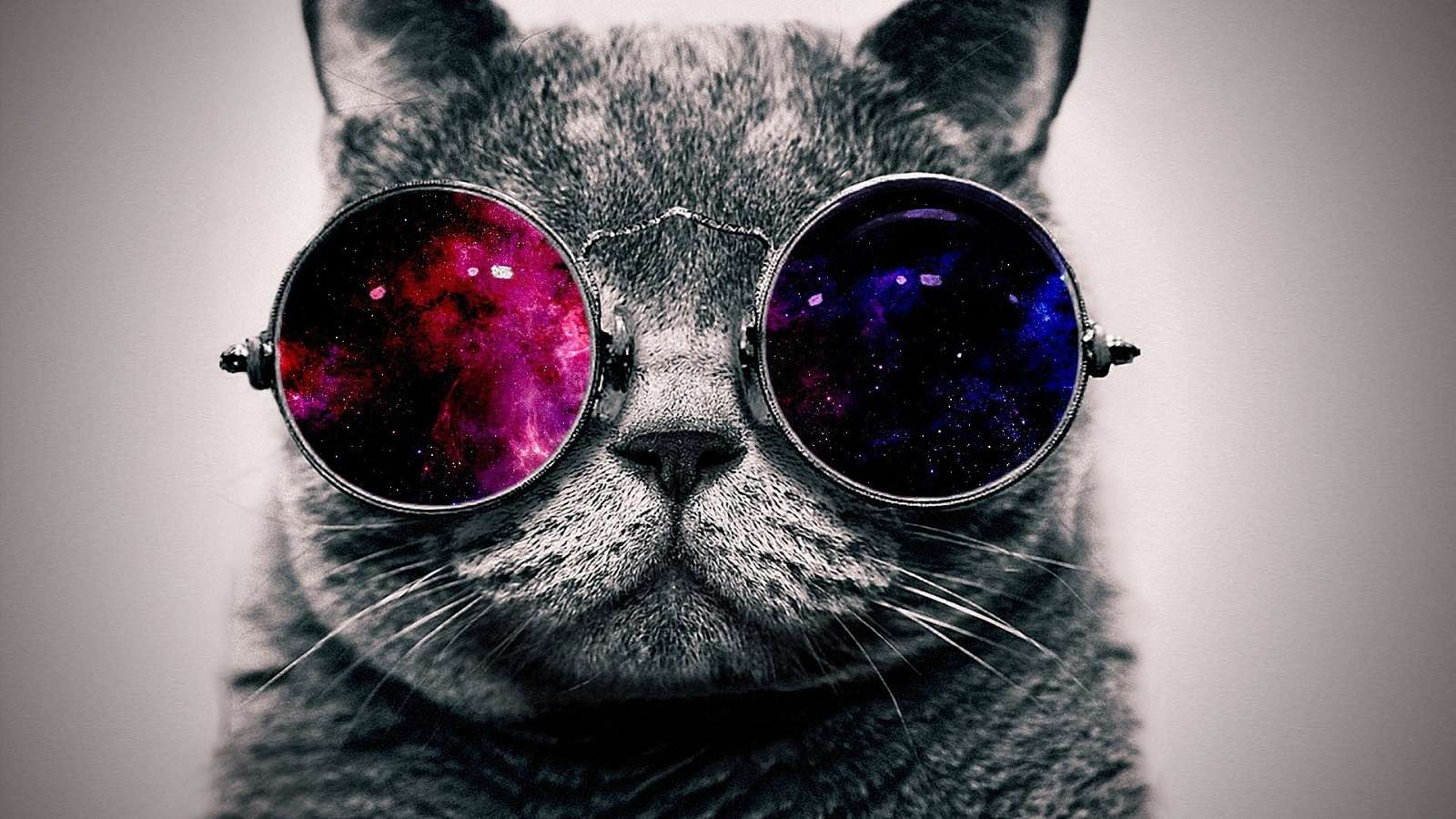 kot z galaktycznymi okularami przeciwsłonecznymi puzzle online