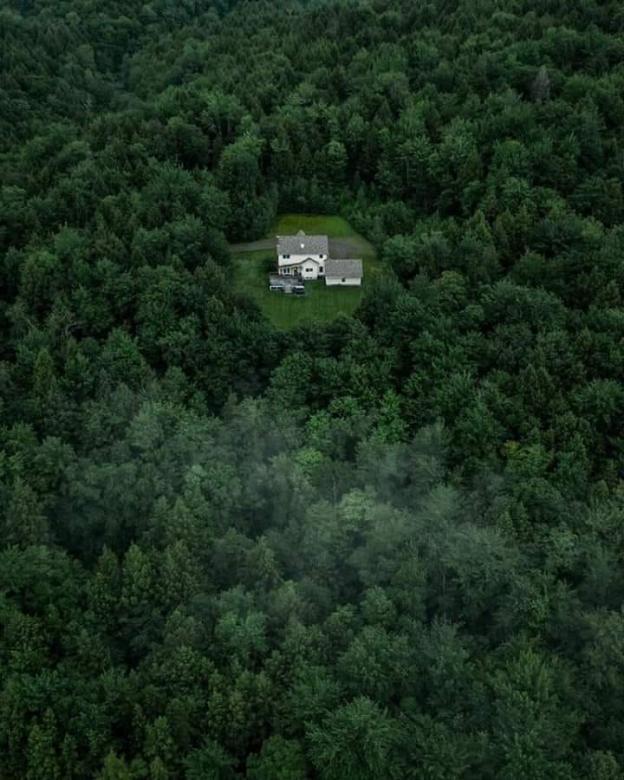 Samotny domek w lesie puzzle online