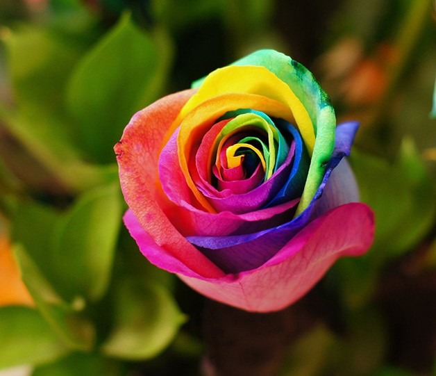 ❤ kolorowy kwiat ❤ puzzle online