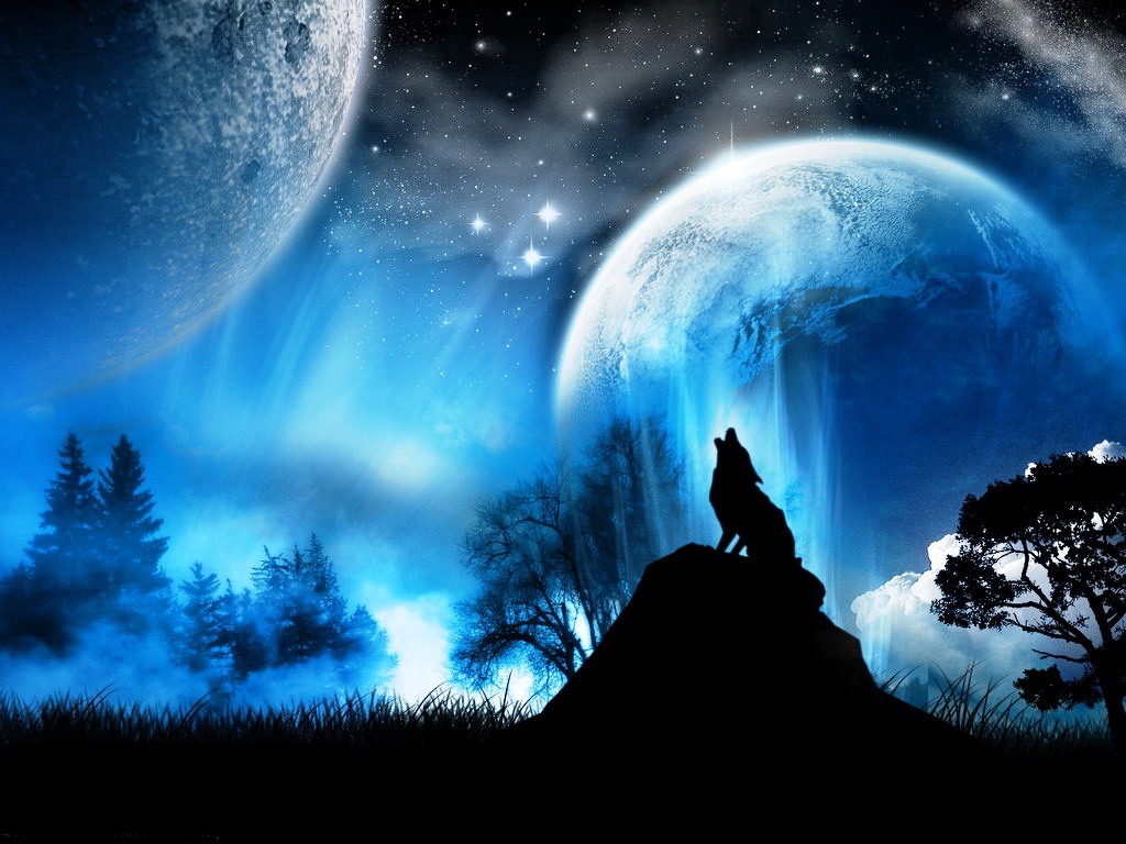 piękny wilk w nocy puzzle online