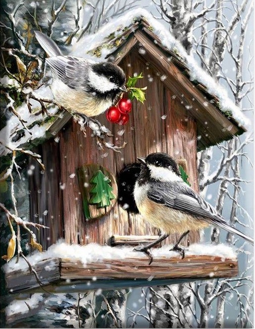 Ptáci, zima, Krmítko puzzle online