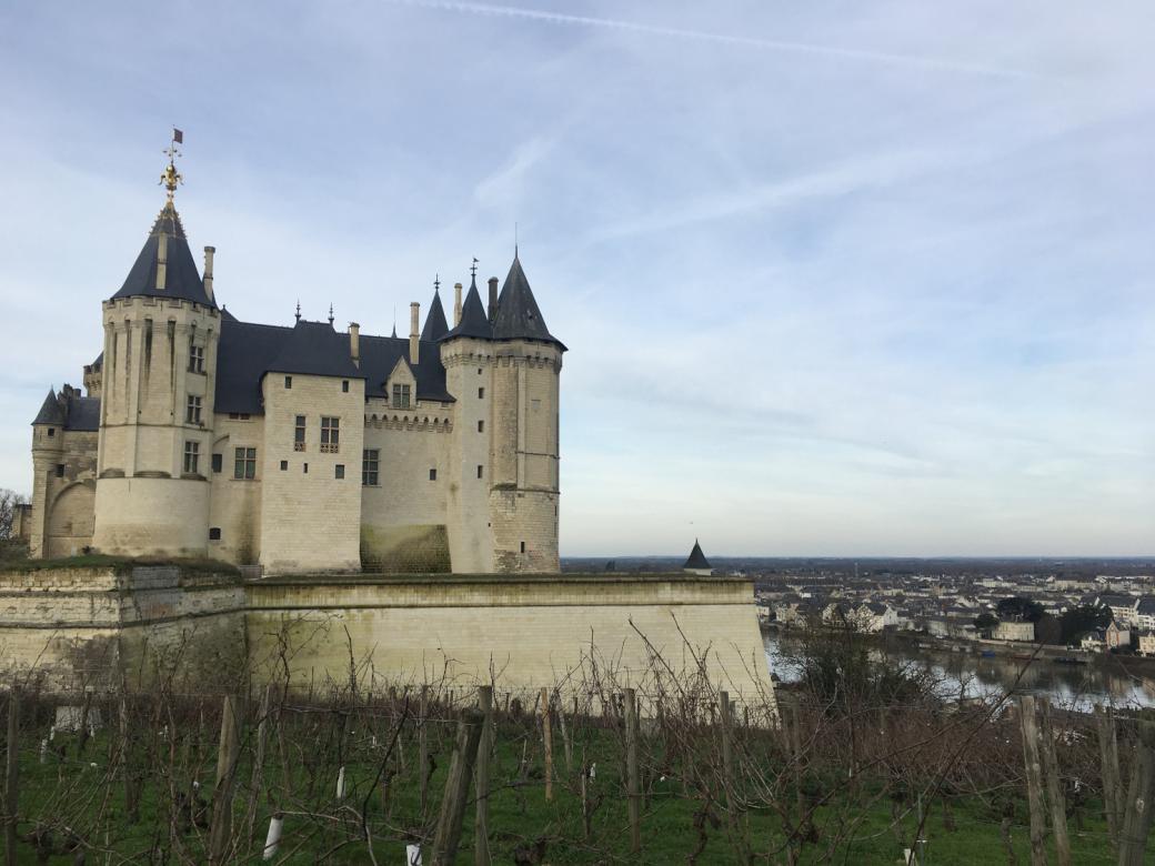 Widok na zamek Saumur puzzle online
