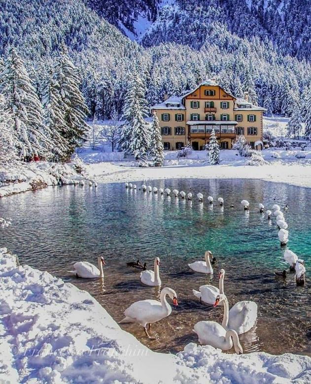 Jezioro Dobbiaco, Trentino Alto Adige, Włochy puzzle online