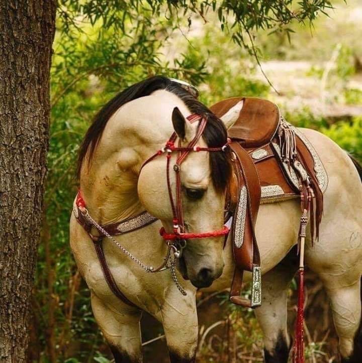 Piękny koń pod drzewem puzzle online
