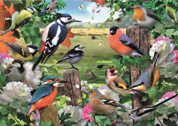 Kolorowe ptaszki. puzzle online