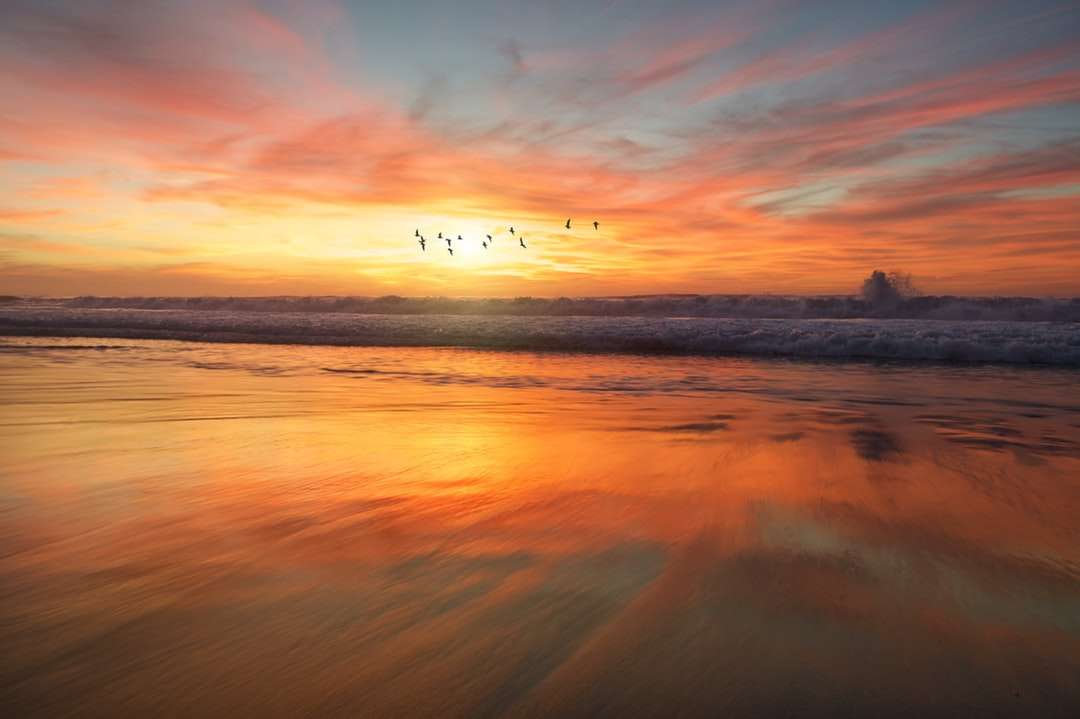 Wschód słońca na plaży w San Diego puzzle online