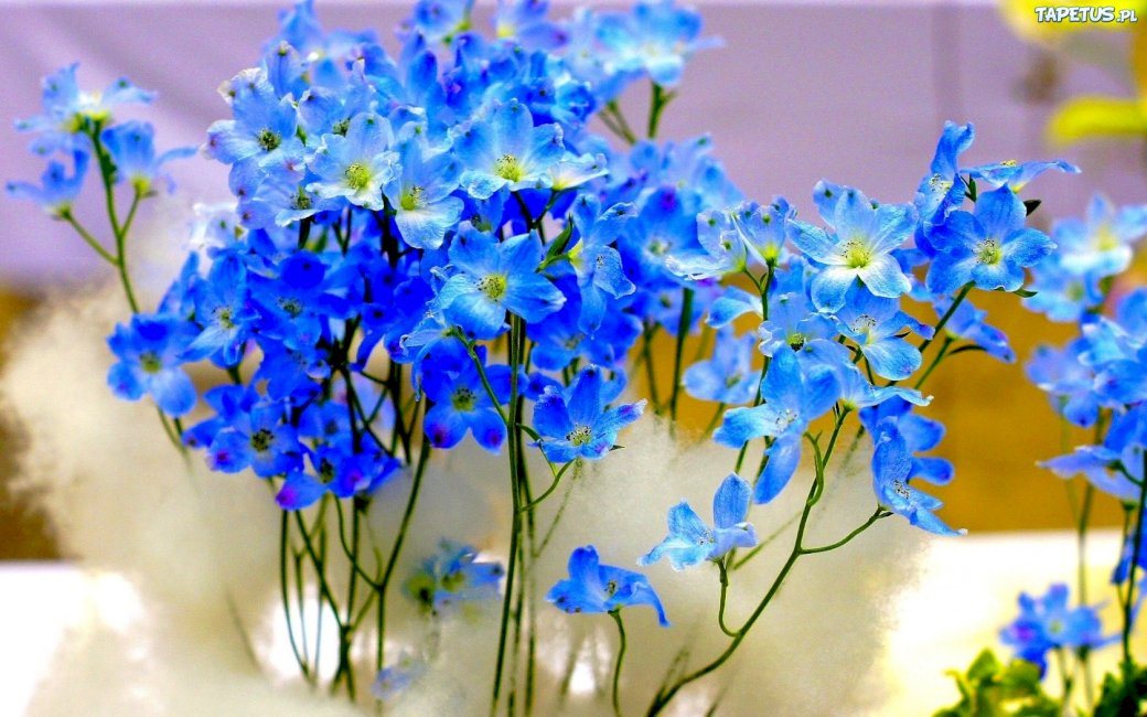 Kwiatuszki niebieskie puzzle online