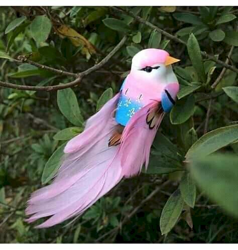 ładny różowy ptak puzzle online