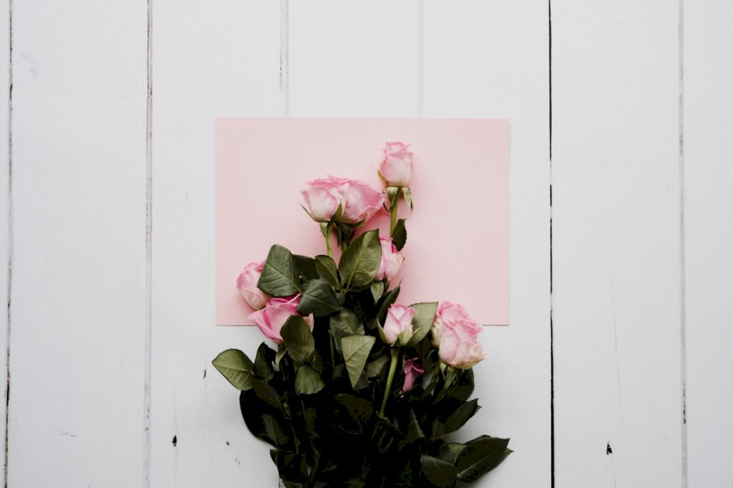 Różowe róże na biały drewnianym puzzle online