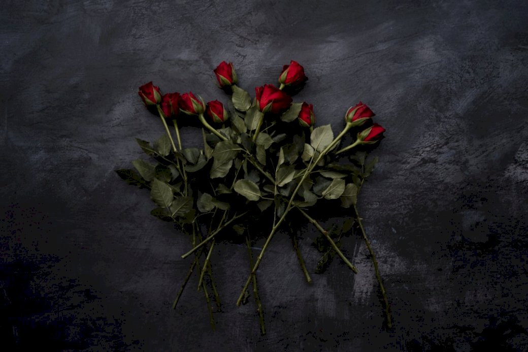 Kupie czerwone róże, walentynki, puzzle online