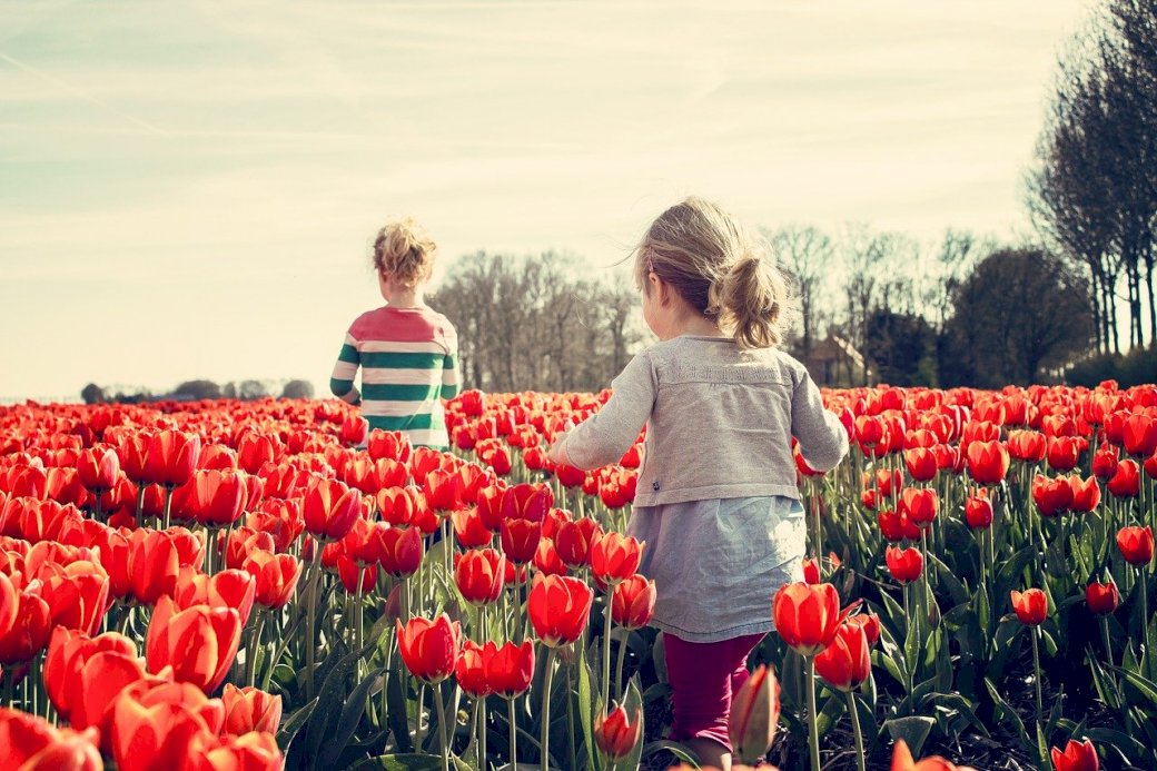 Dzieci na polu tulipanów puzzle online