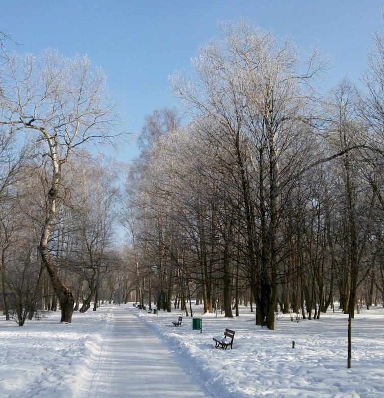 Zima w parku puzzle online