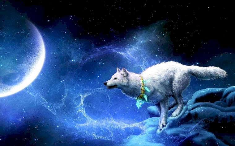 Wilk oświetlony przez księżyc puzzle online