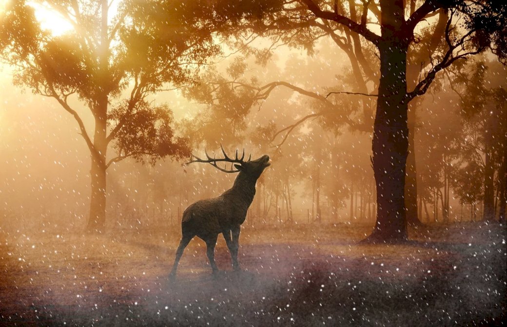 Jeleń w zaczarowanym lesie puzzle online