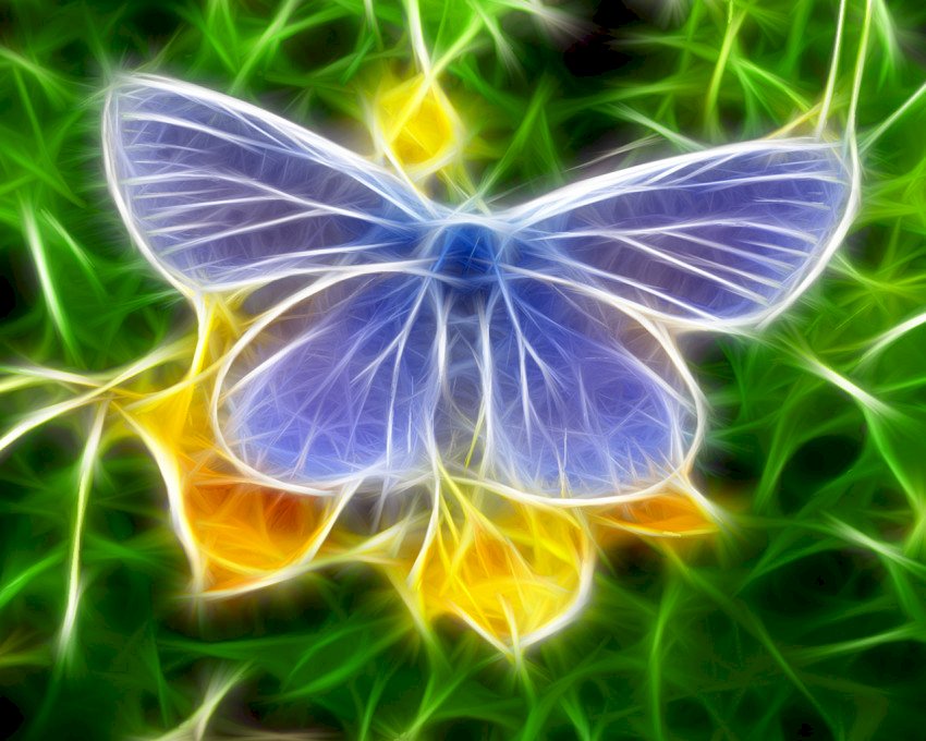 Motyl Na Kwiatku puzzle online