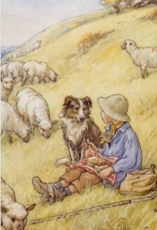pasáček ovcí se psem puzzle online