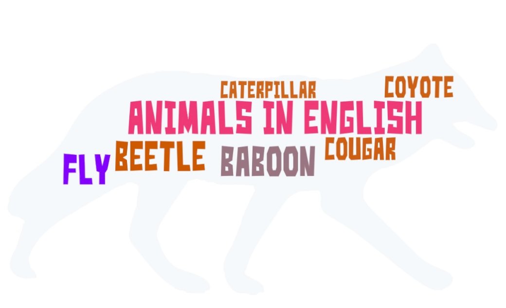 Zwierzęta po angielsku - Puzzle puzzle online