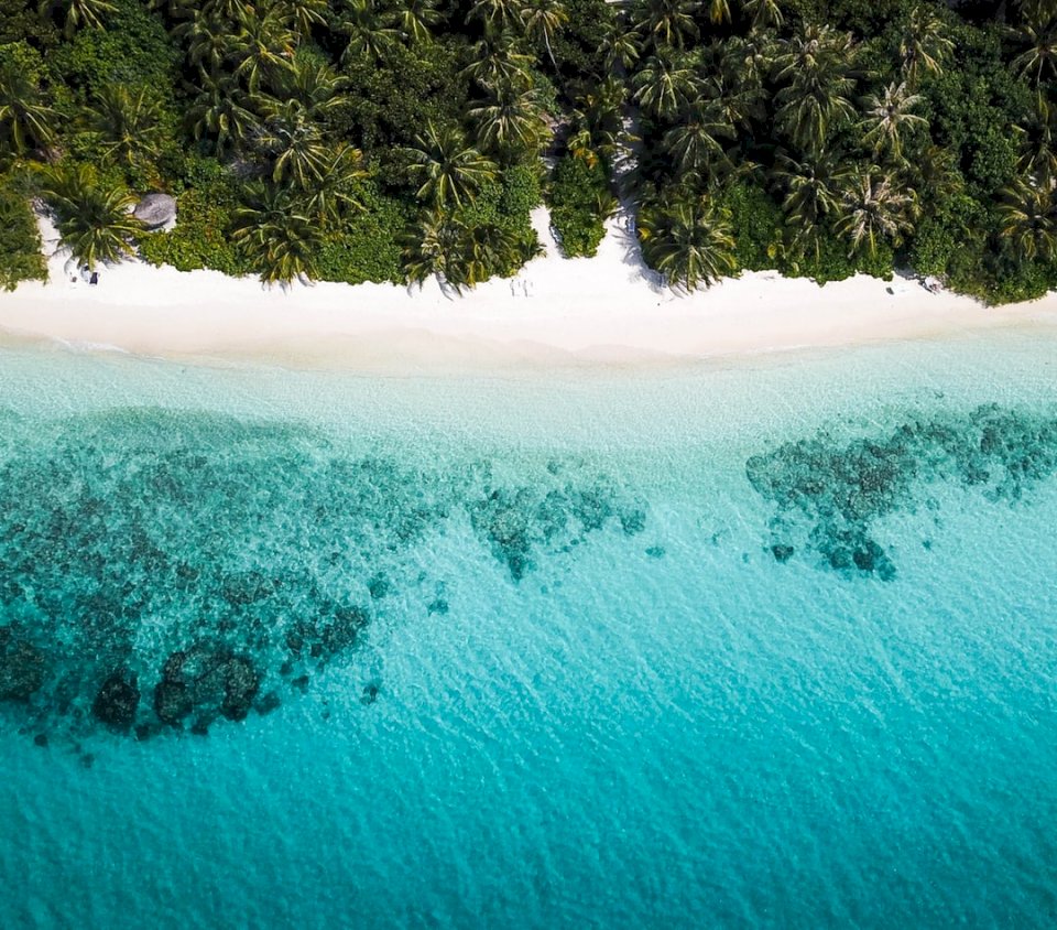 Detta är stranden på Maldiverna pussel