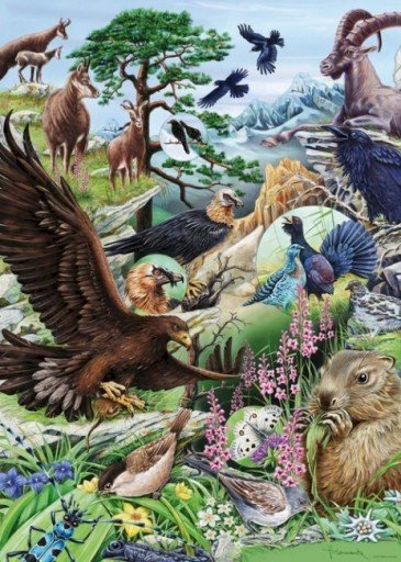 Fauna i Flora. puzzle online