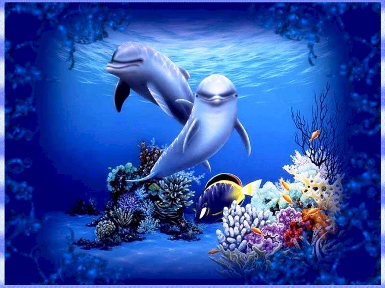 delfiny w głębinach puzzle online