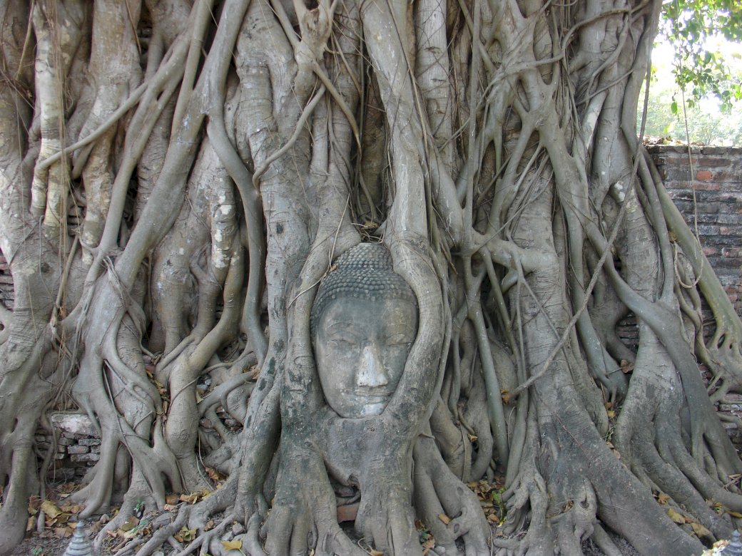 Budda w Ayutthaya puzzle online