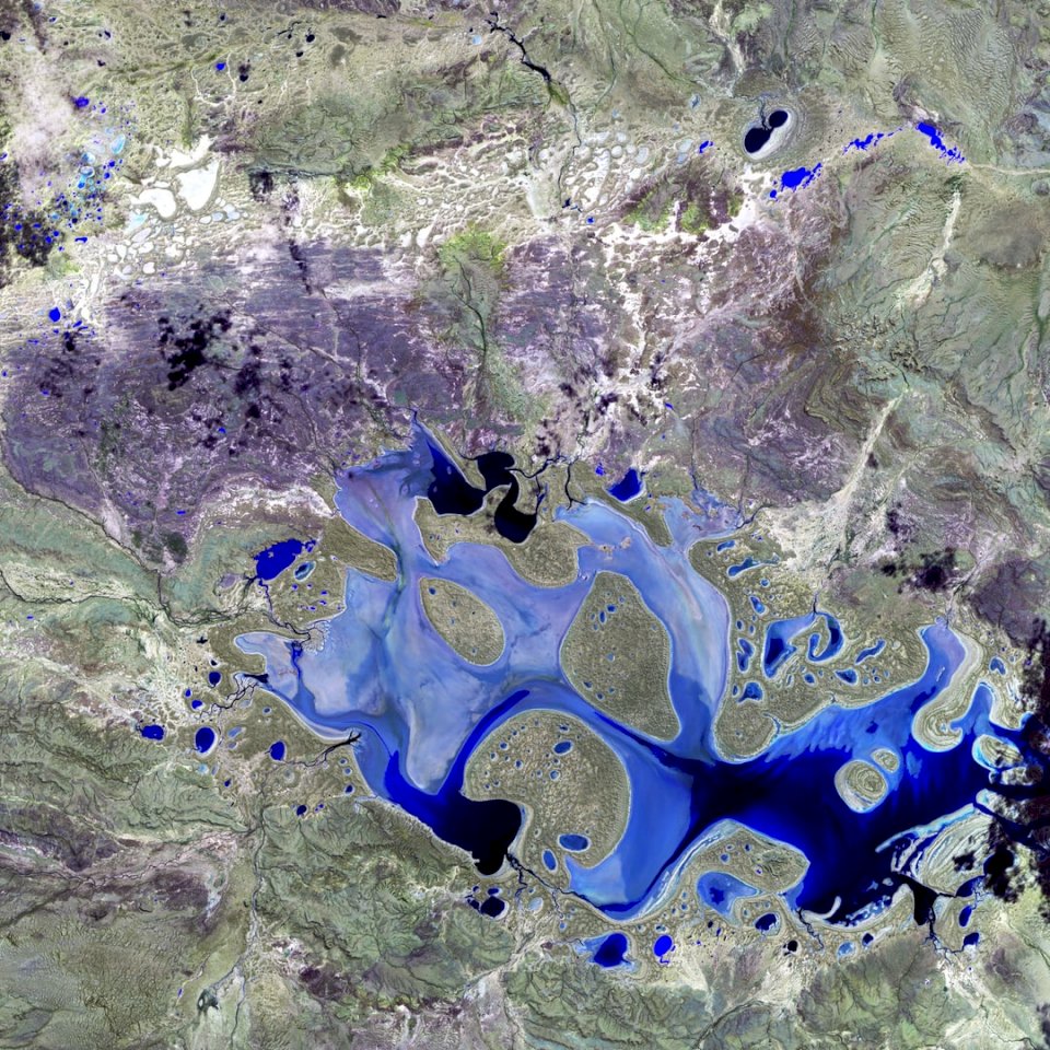 Efemeryczne jezioro Carnegie, w puzzle online