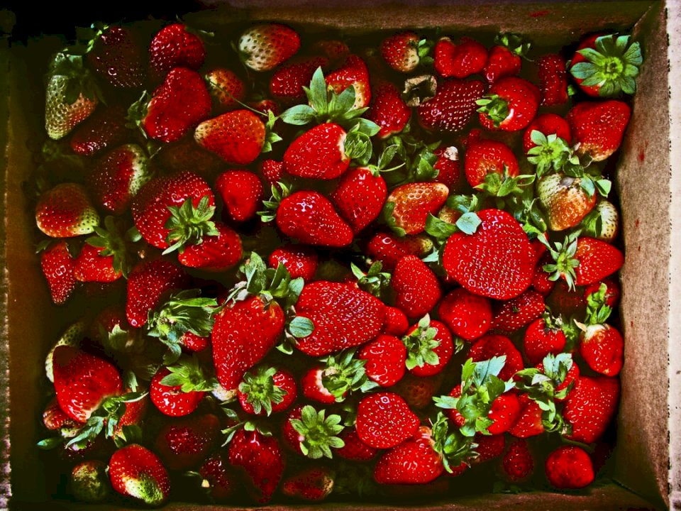 Boîte de fraises puzzle