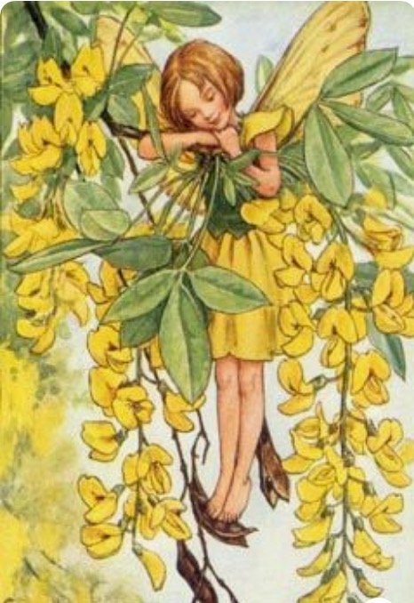 dívka jako žlutý motýl puzzle online