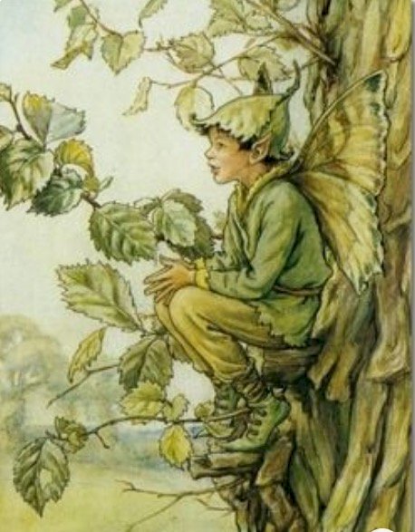 chlapec motýl sedí na stromě puzzle online