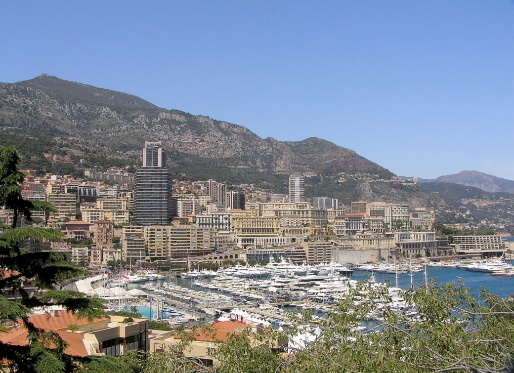 Monte Carlo puzzle online