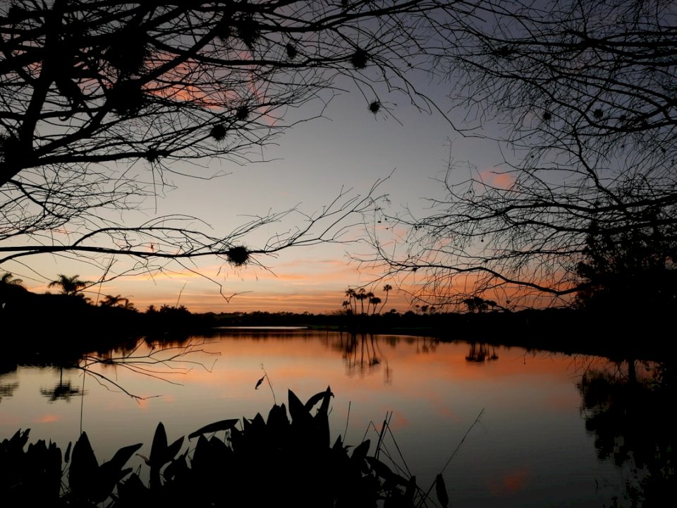 Jezioro i palmy o zachodzie słońca. puzzle online