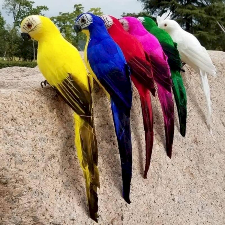Kolorowe papugi. puzzle online