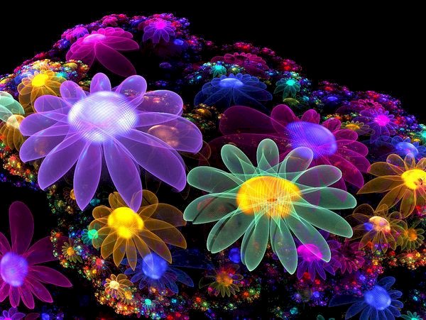 Kozmikus virágok online rejtvény