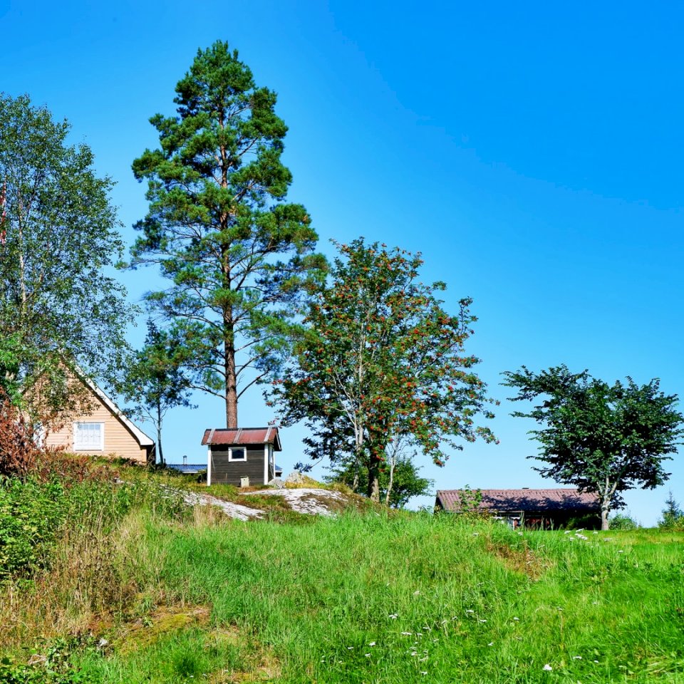 Dom i szopa w pobliżu jeziora Floen, puzzle online