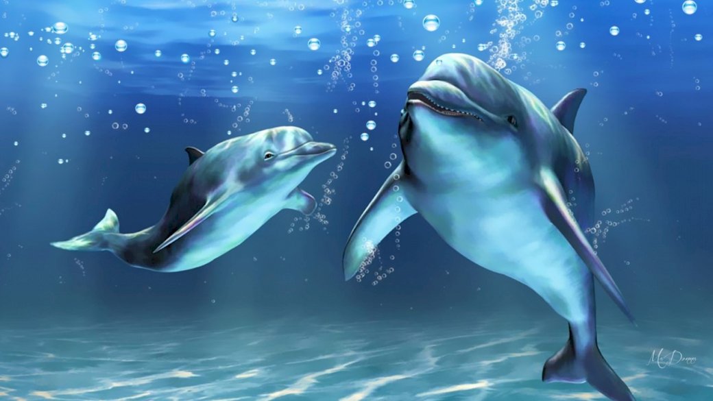 delfiny w spokojnych wodach puzzle online