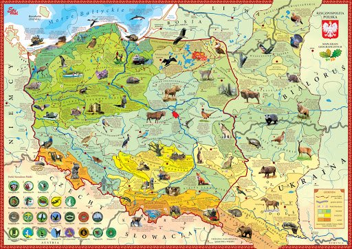 Mapa zwierząt. puzzle online